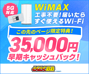 GMOとくとくBB WiMAXのバナー画像