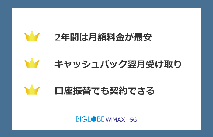 BIGLOBE WiMAXのまとめ